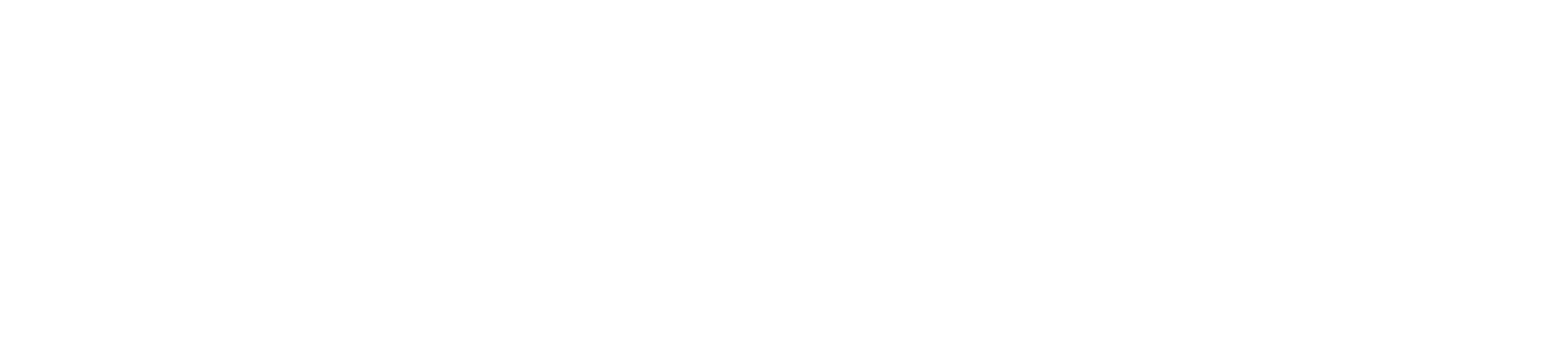 Playtech slot online